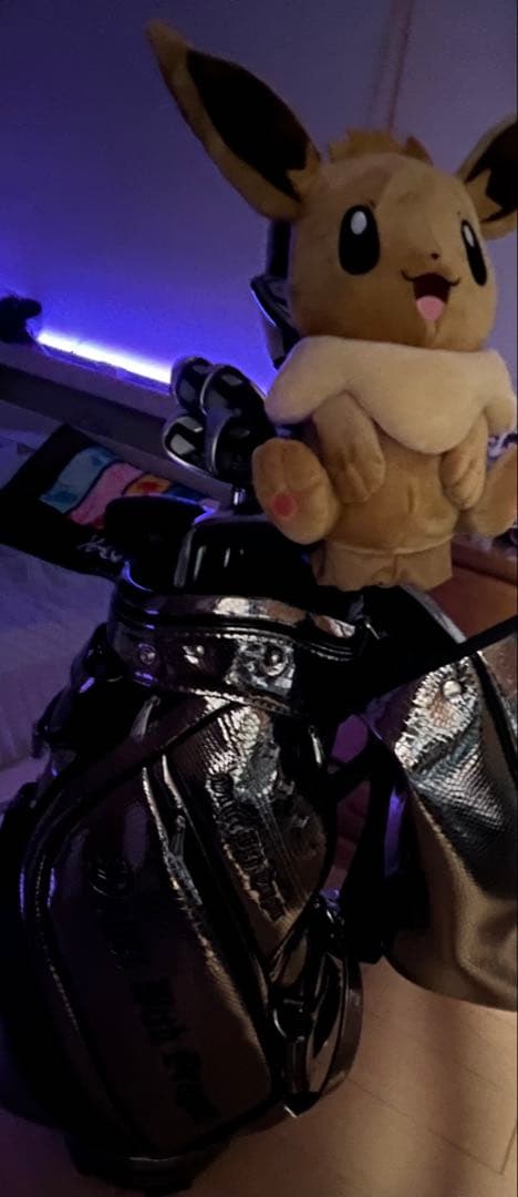 ダンスウィズドラゴン　ゴルフバック