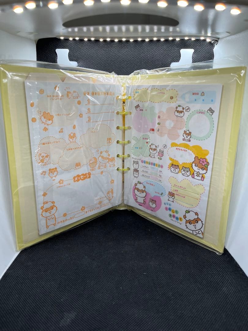 【新品未使用】コロコロクリリン　サイン帳　6穴バインダー　サンリオ
