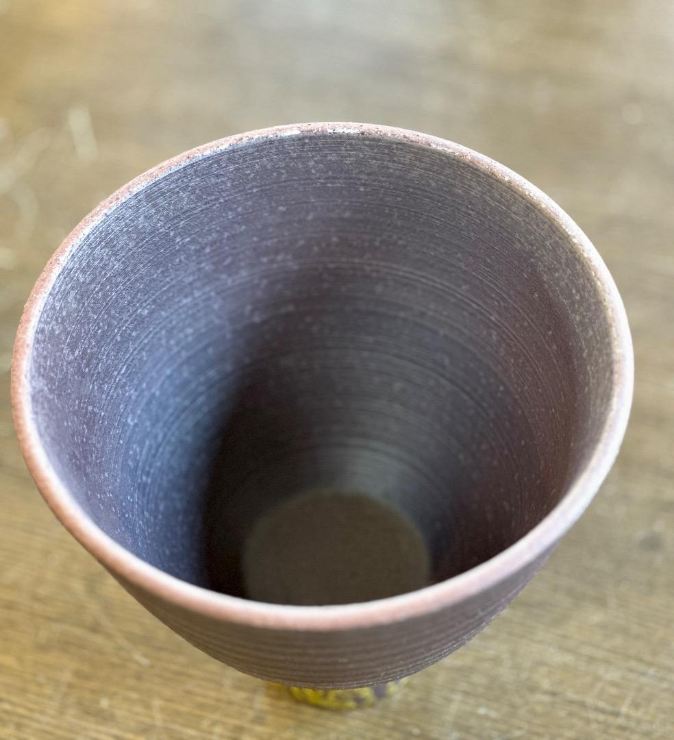 再値下げ　新品　タジン鍋　特大　土鍋　蒸し土鍋　無水鍋　萬古焼　直火OK　南蛮