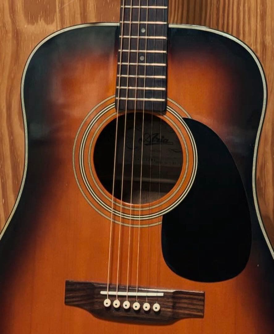 【エレアコ化】Aria ADW-200BS 低弦高 ライブ向け ソフトケース付
