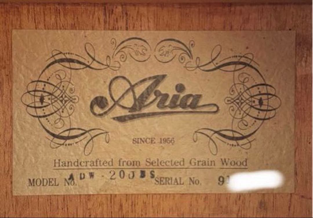 【エレアコ化】Aria ADW-200BS 低弦高 ライブ向け ソフトケース付