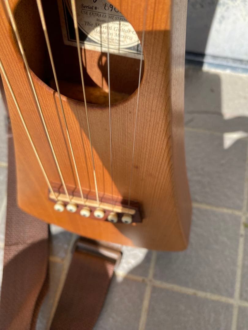 Martin バックパッカー 最初期