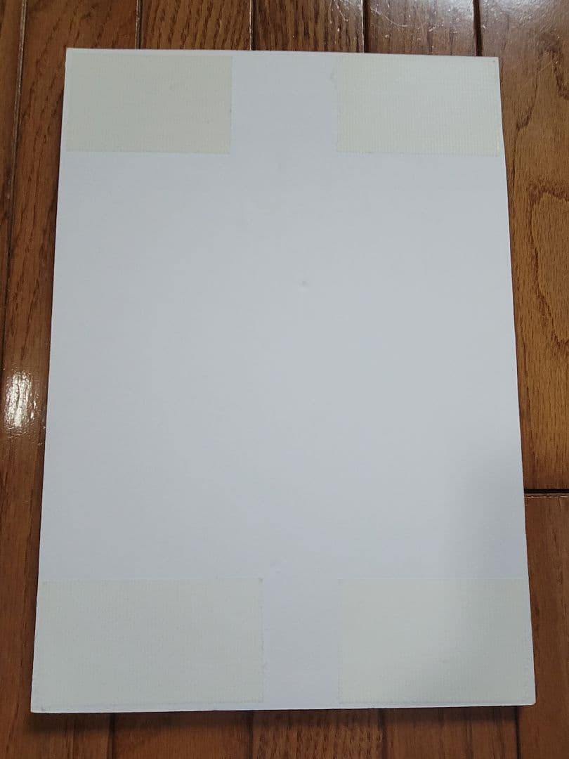 4ヶ月連続ソロ写真集発売記念パネル(小玉梨々華)