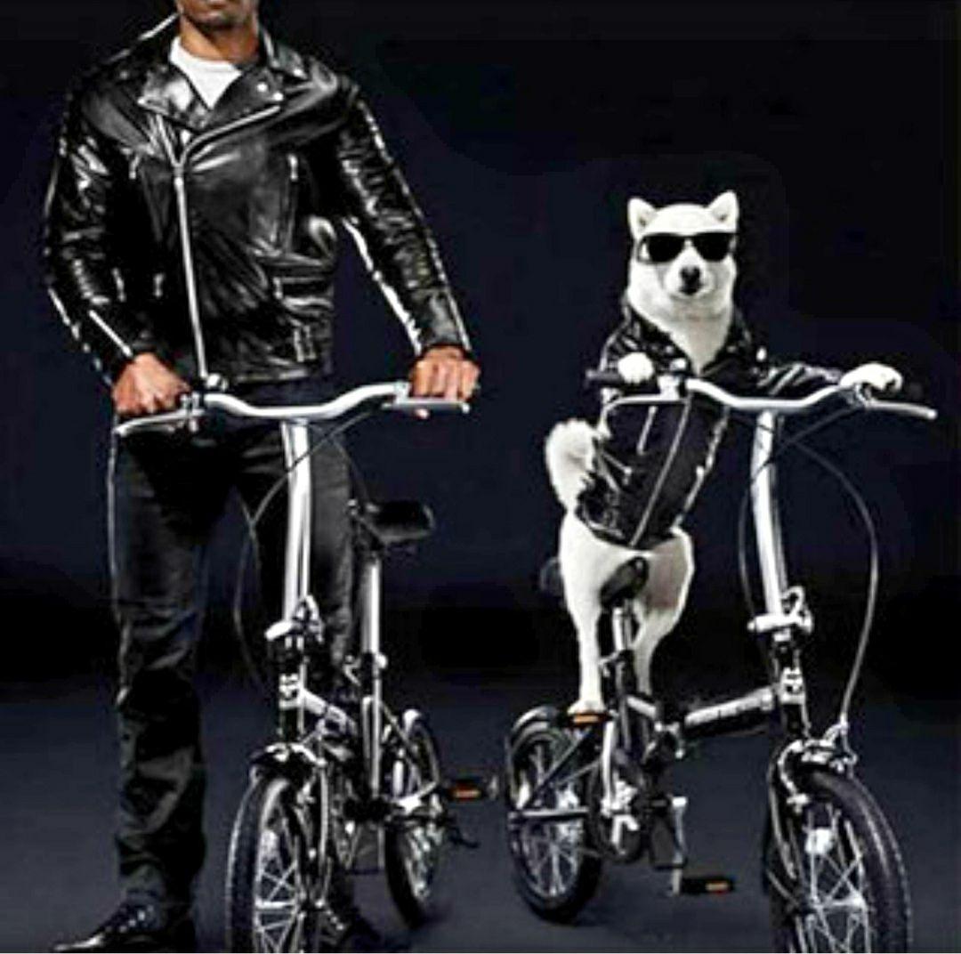 ★SoftBank「OTOUSAN BIKE Cool Edition」非売品★
