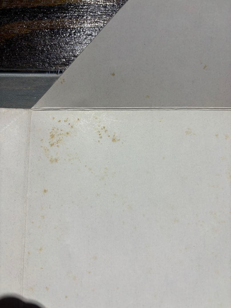 芹沢銈介　カレンダー1981年　表紙と１2ヶ月分揃い