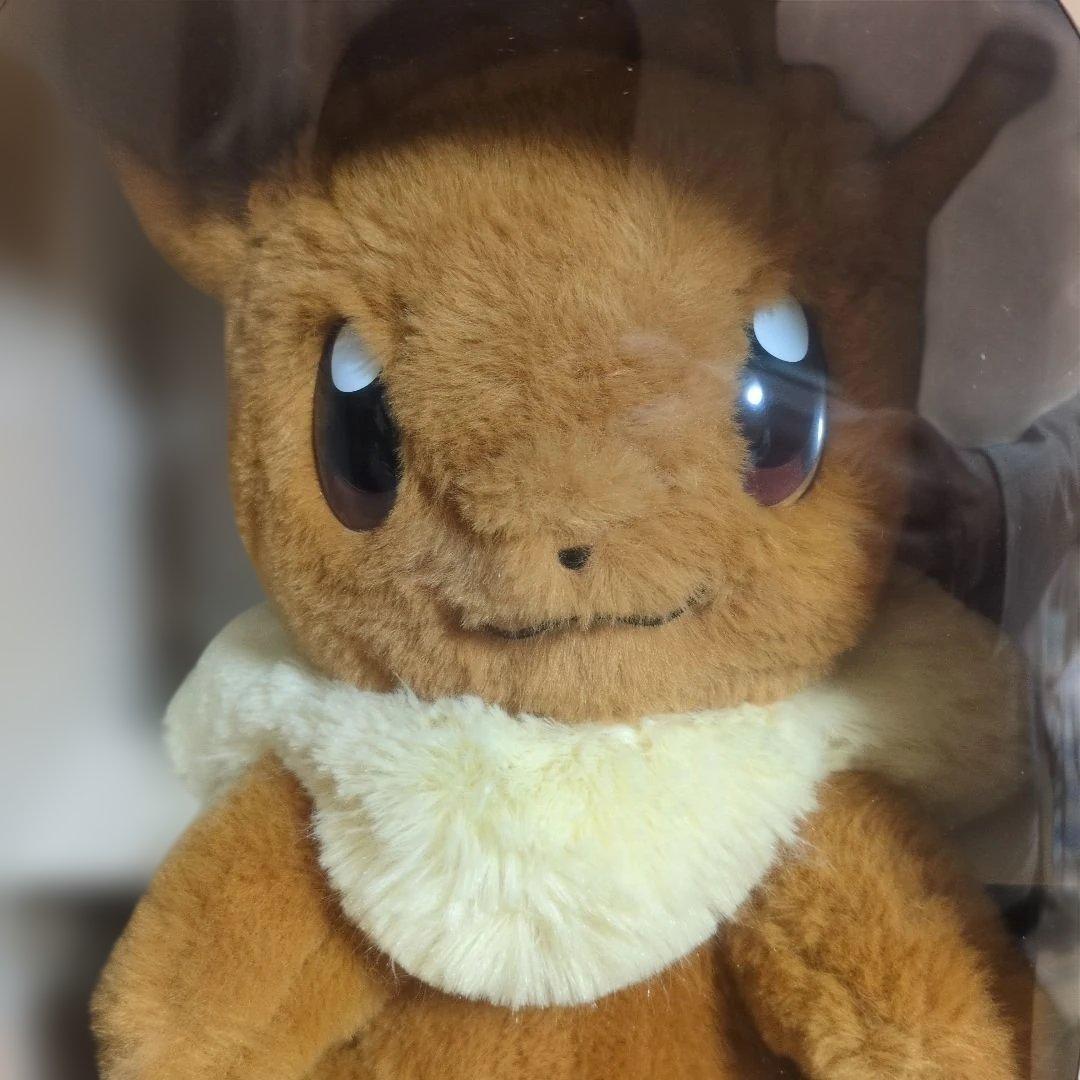 即日発送【新品未開封】おうちにポケモン イーブイ　ポケモン30周年記念