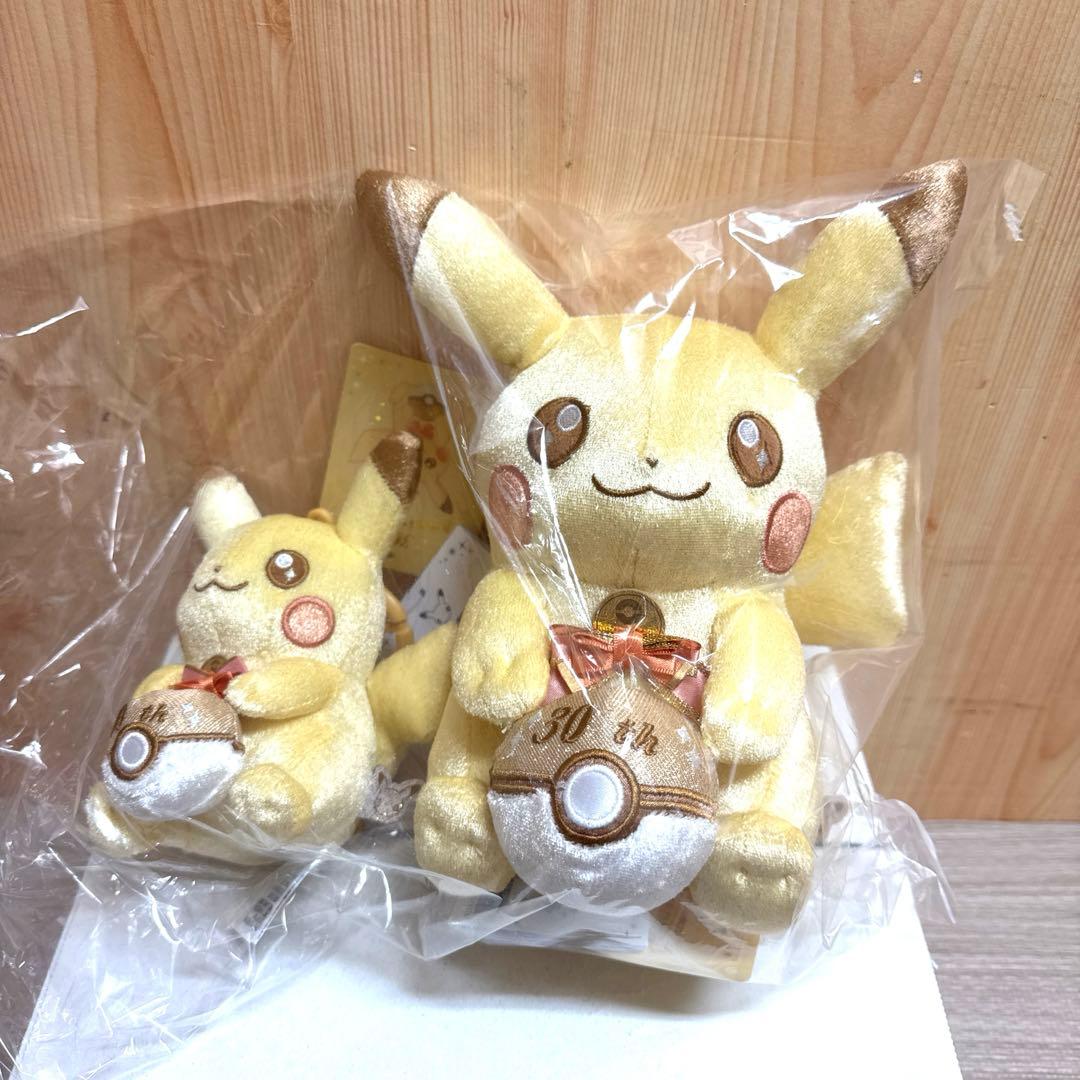 ピカピカ！ピカチュウ 30周年記念 ぬいぐるみ＆マスコットセット