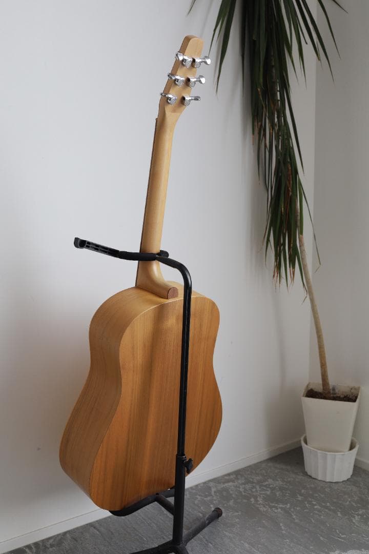 Seagull Excursion Walnut SG カナダ製　アコギ