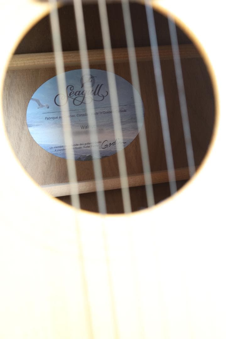 Seagull Excursion Walnut SG カナダ製　アコギ