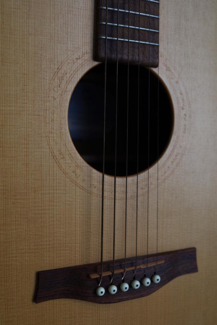 Seagull Excursion Walnut SG カナダ製　アコギ