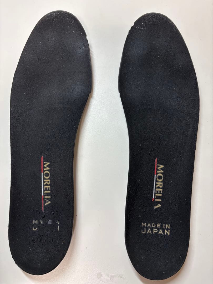 モレリアネオ4JAPAN