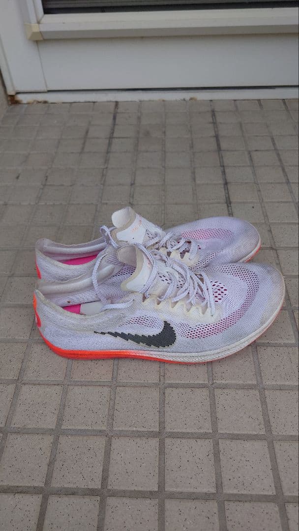 Nike ドラゴンフライ26cm