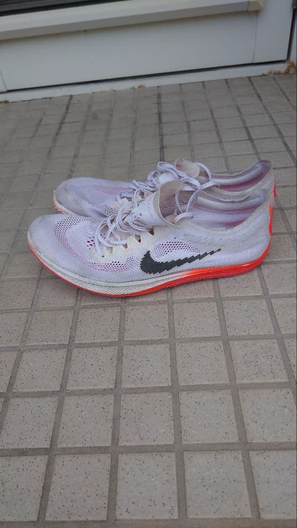 Nike ドラゴンフライ26cm