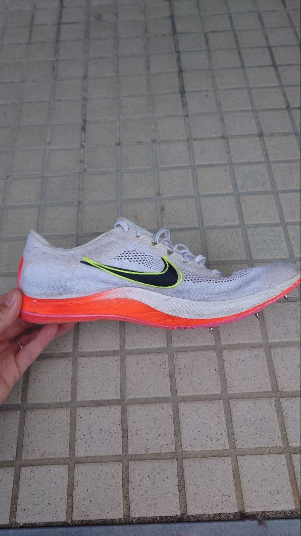 Nike ドラゴンフライ26cm