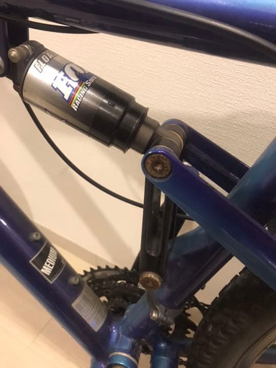 ＫＬＥＩＮ　Ａｄｅｐｔ　Ｒａｃｅ　Ｍ