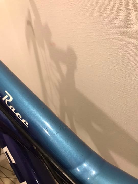 ＫＬＥＩＮ　Ａｄｅｐｔ　Ｒａｃｅ　Ｍ