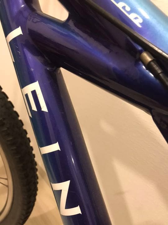 ＫＬＥＩＮ　Ａｄｅｐｔ　Ｒａｃｅ　Ｍ