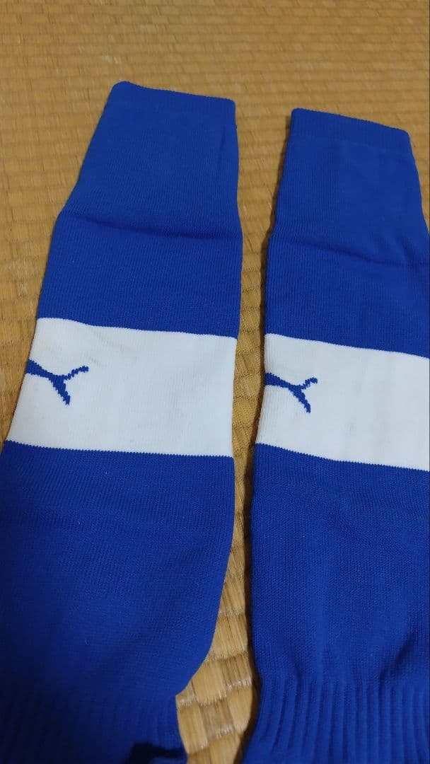 静岡県選抜 国体 FPユニホーム PUMA