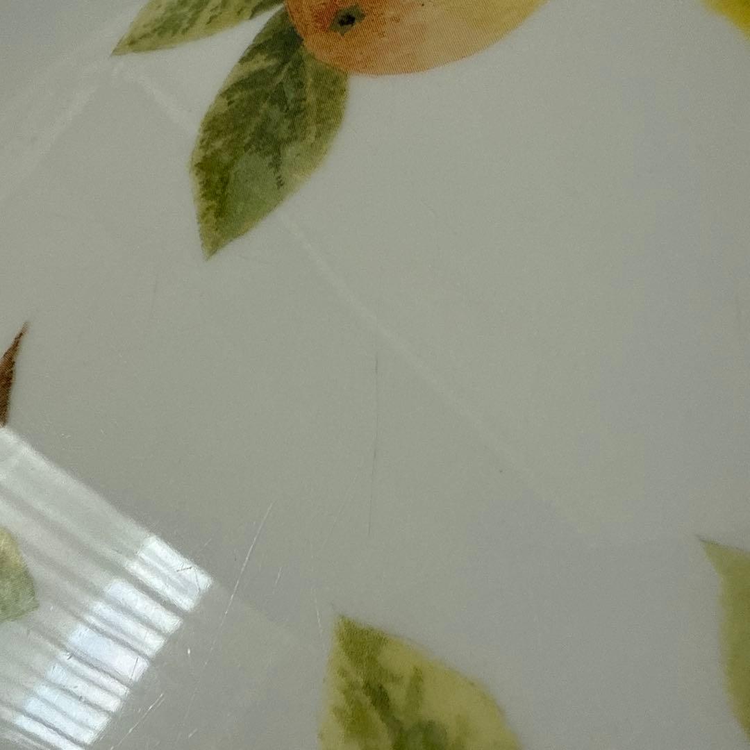   CITRUS GROVE 6枚セット 約21cm