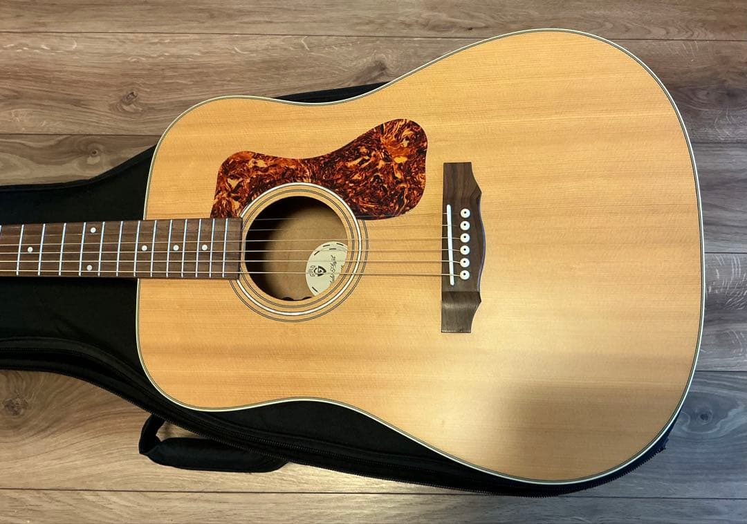 Guild D-240E ギター