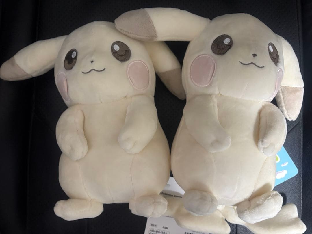 ぽこあポケモン ぴかちゅう うすいろ 2体セット