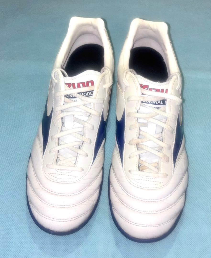 ホコリまみれのカビフライ MIZUNO ミズノ モレリア サラ 2足