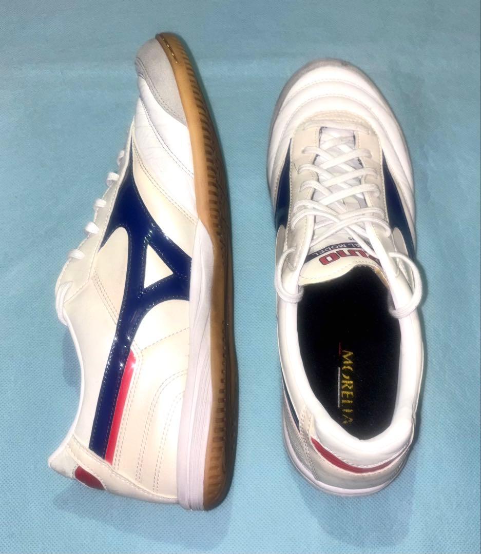 ホコリまみれのカビフライ MIZUNO ミズノ モレリア サラ 2足