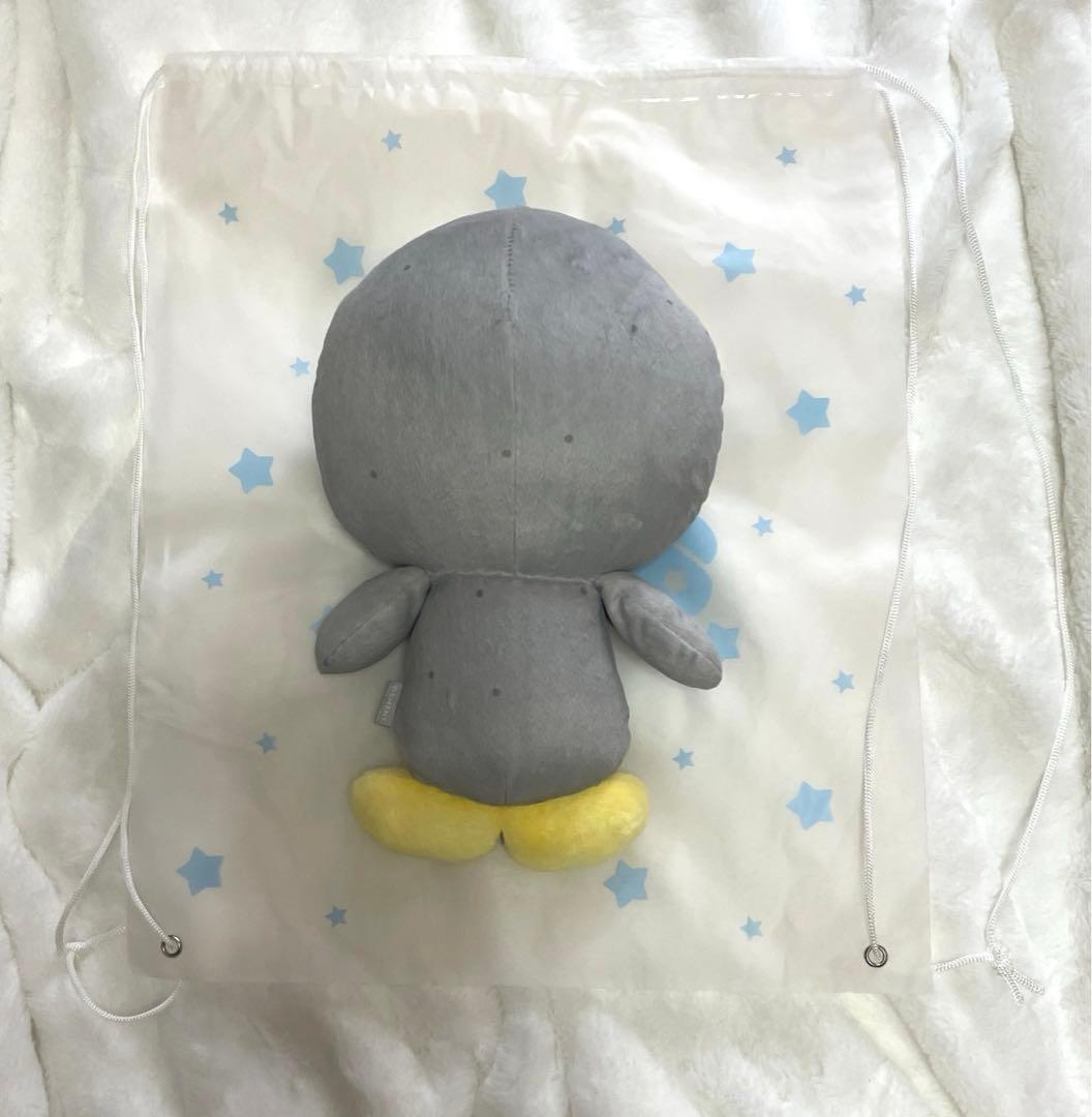 RIIZE 40cm doll ソヨンドリ