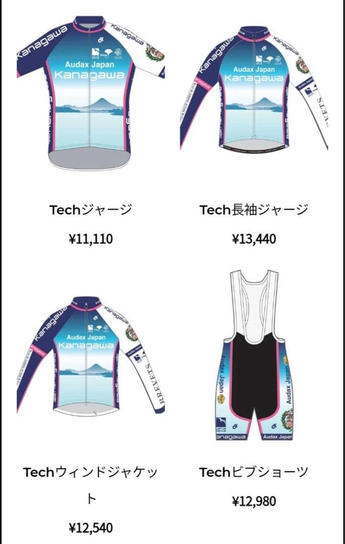 【ブルベ】AJ神奈川 半袖サイクルジャージ