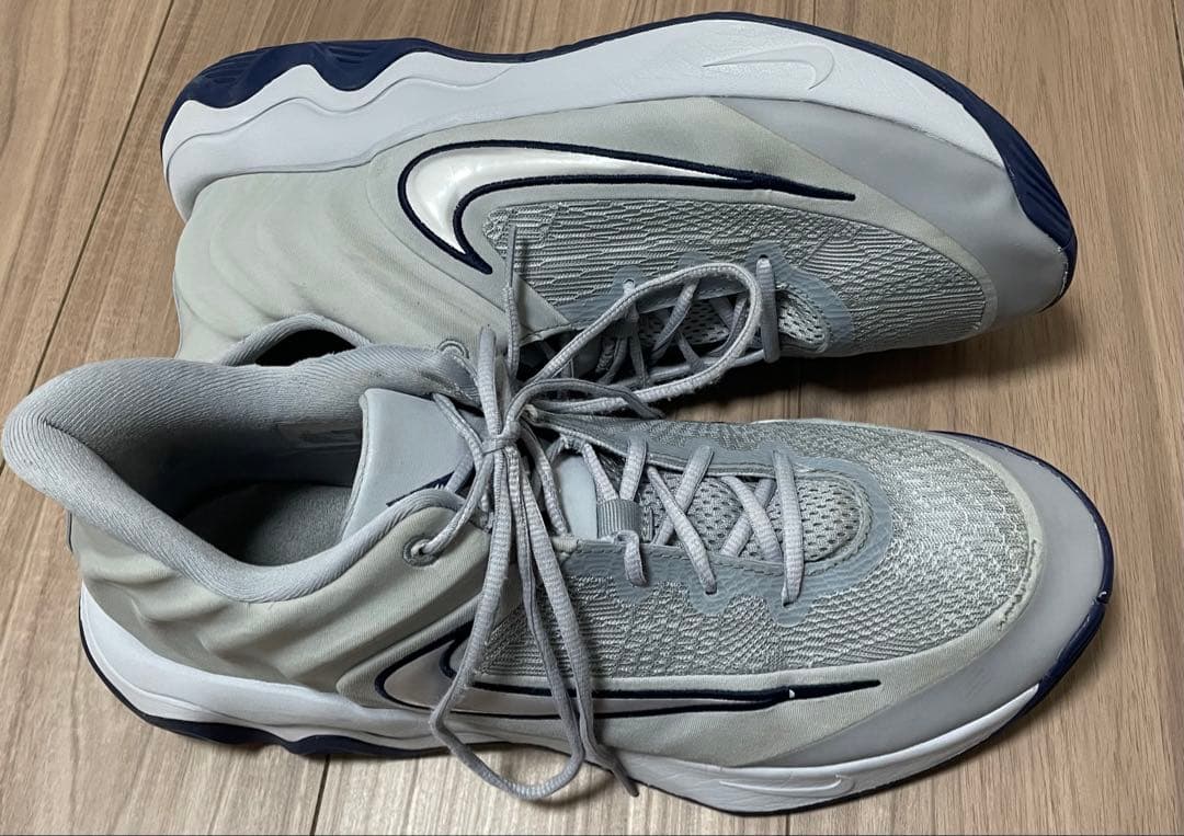 Nike ヤニス・イモータリティ4 グレー　30cm