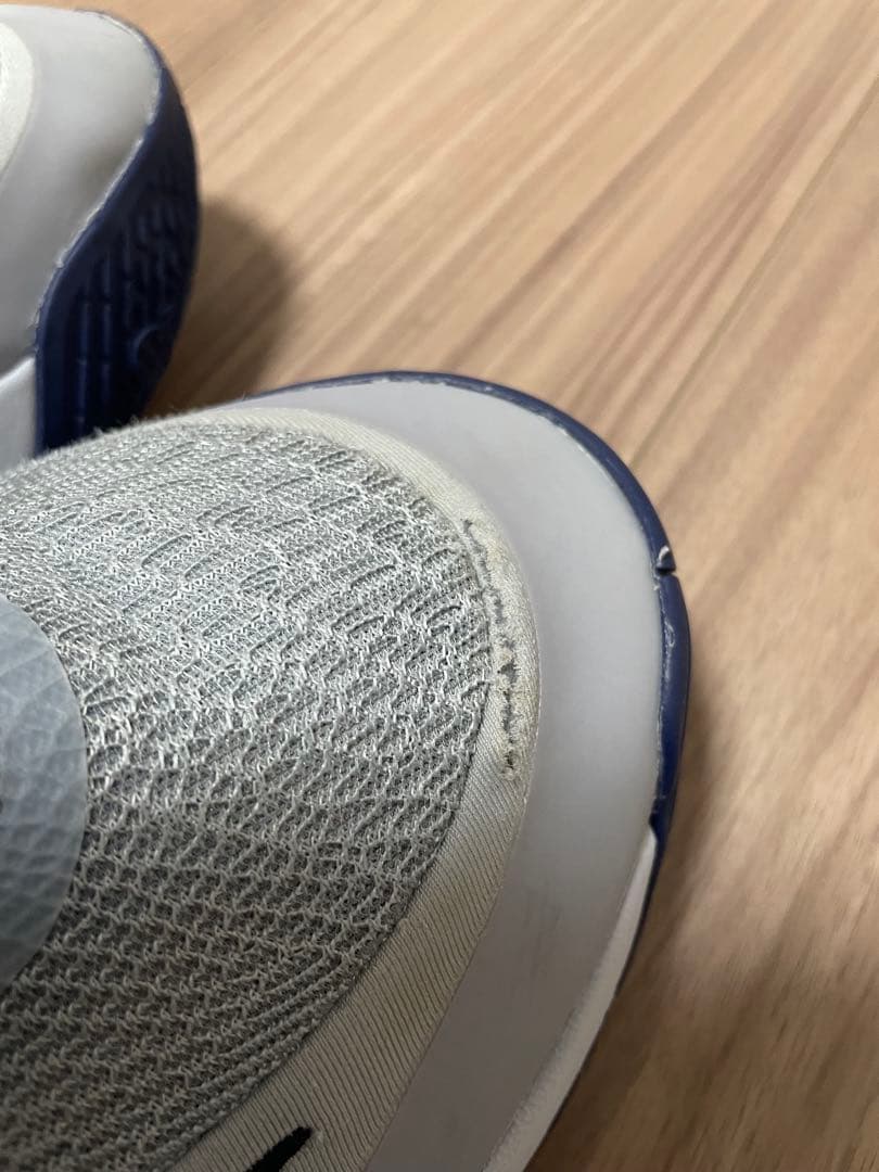 Nike ヤニス・イモータリティ4 グレー　30cm