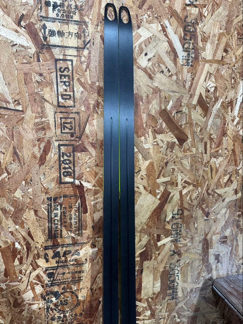 スキー Fischer Speedmax 3D Skate Plus 186cm