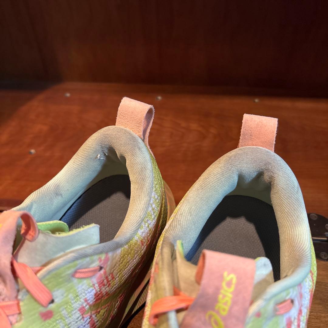 Asics Noosa Tri 16 (アシックス ヌーサトライ 16)