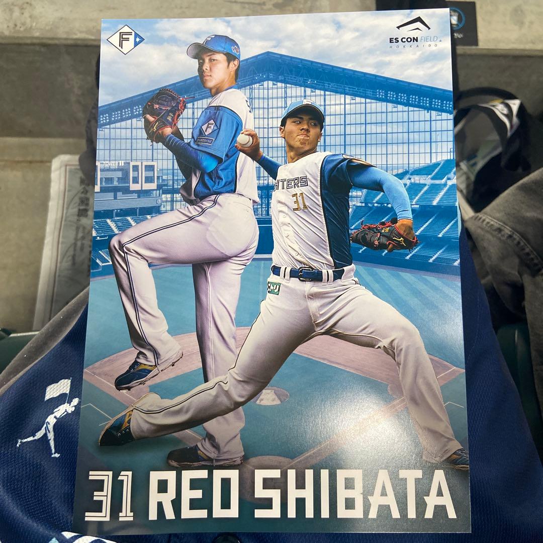 北海道日本ハムファイターズ　WeLoveHokkaido 配布ユニフォーム　2枚