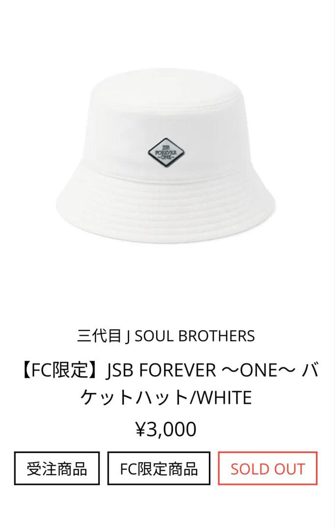 三代目JSB FOREVER ONE スタジアム　受注　バケットハット　タオル