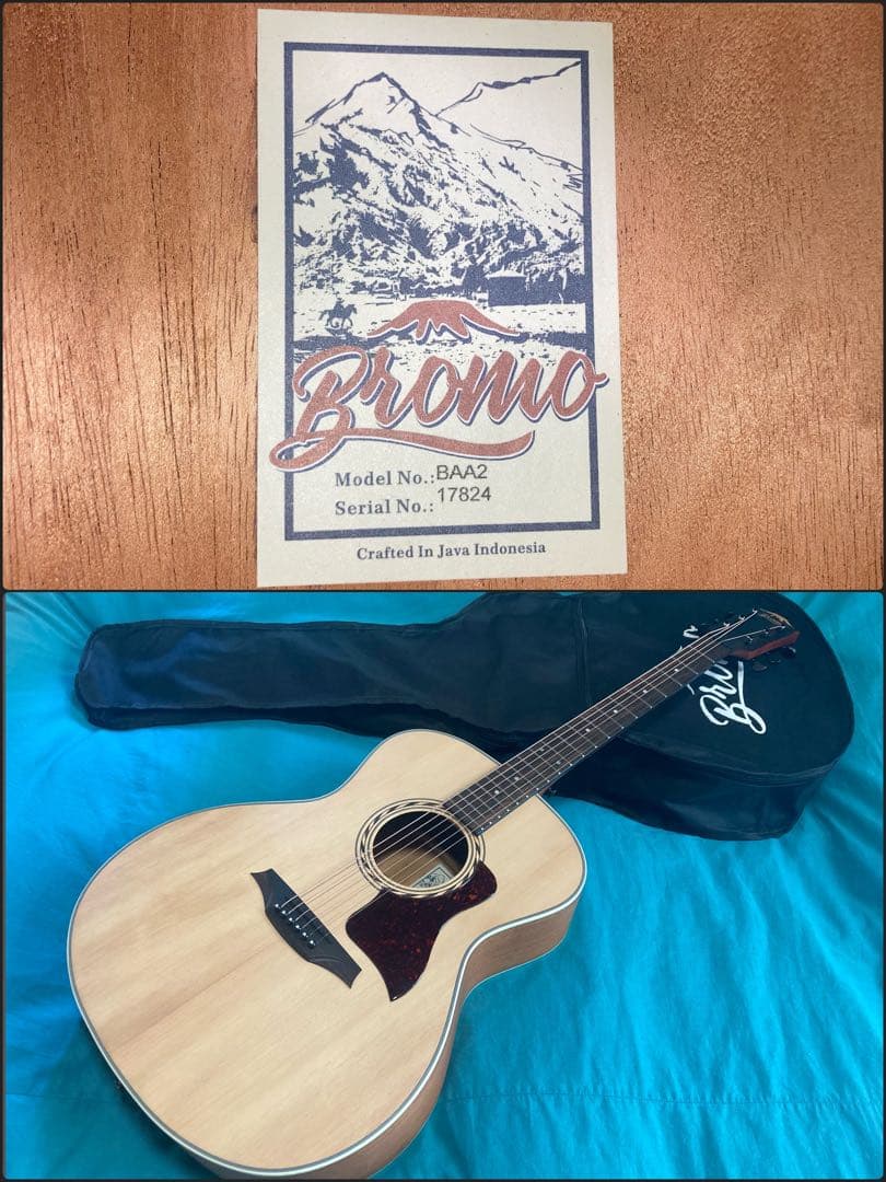 Bromo Guitars BAA2 ブロモギター ピックアップ仕様