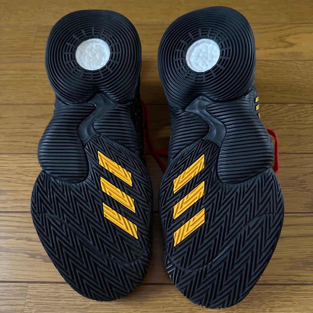 Trae Young adidas バスケットボールシューズ US8