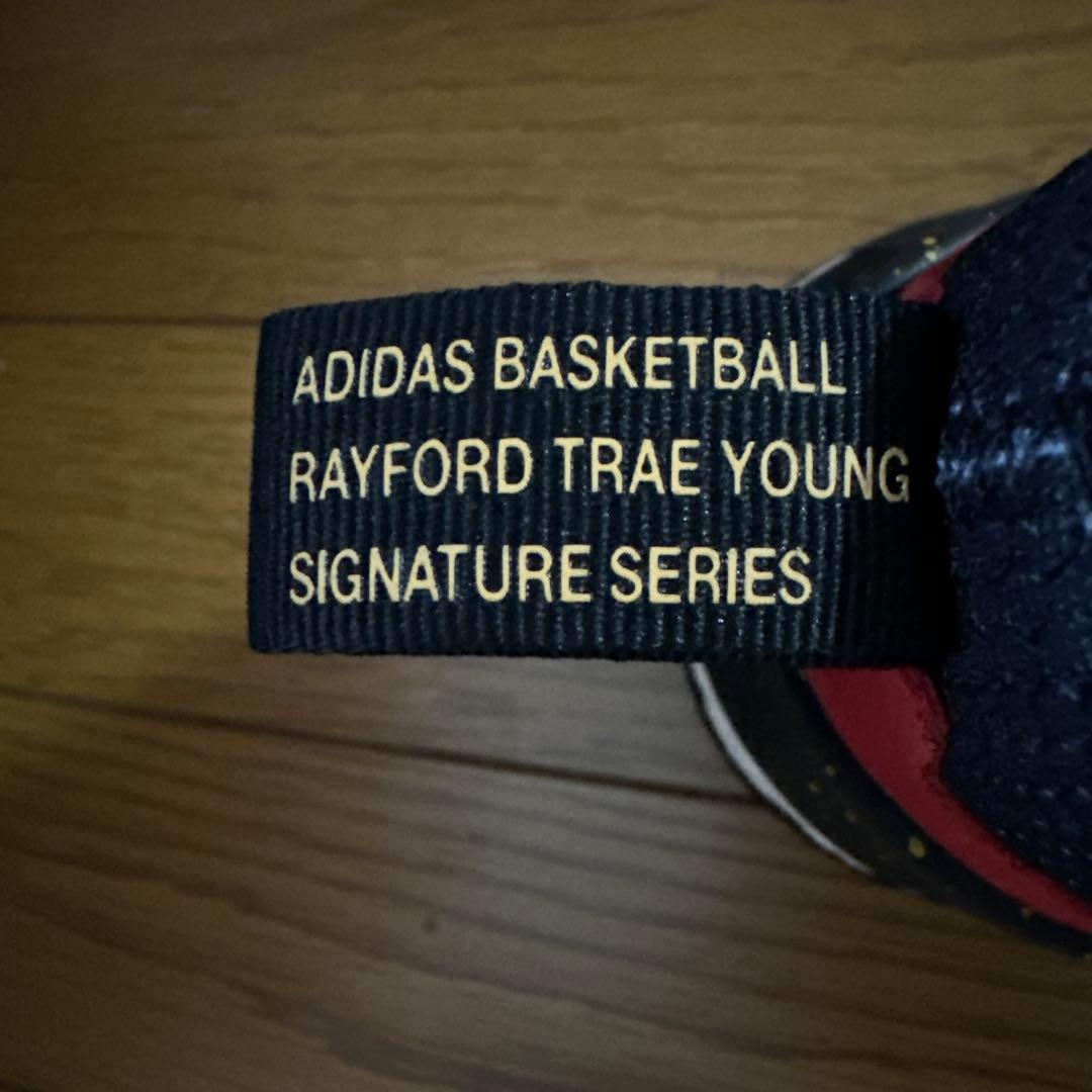 Trae Young adidas バスケットボールシューズ US8