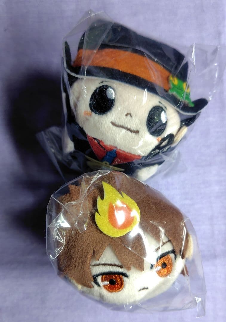 家庭教師ヒットマンREBORN! ごろりんマスコット たぴぬい 綱吉 リボーン