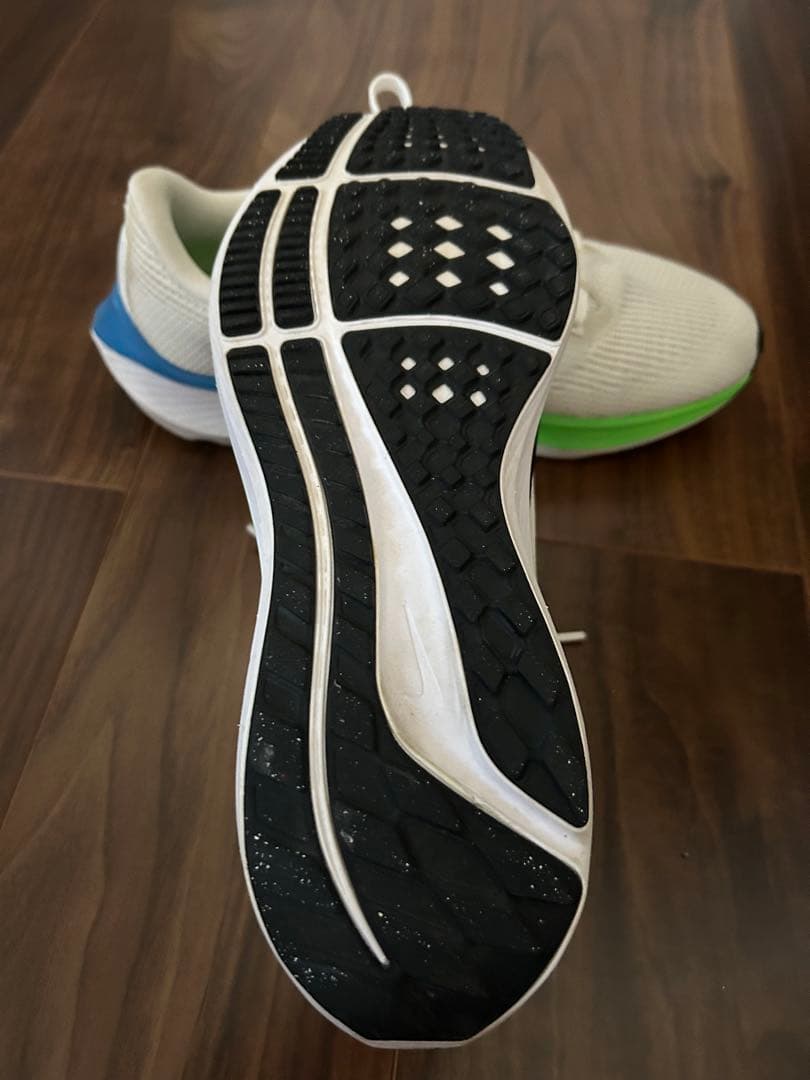NIKE ペガサス40 ランニングシューズ