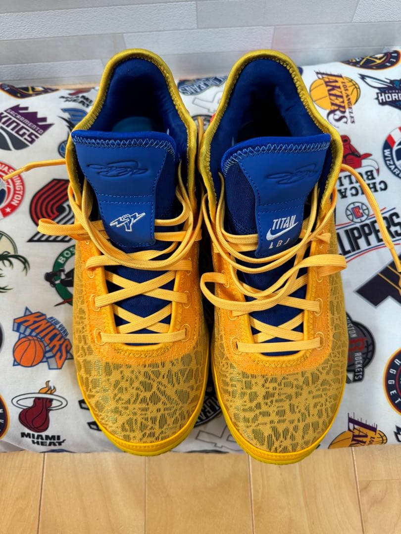 Titan × Nike Zoom LeBron NXXT Gen 28.5cm