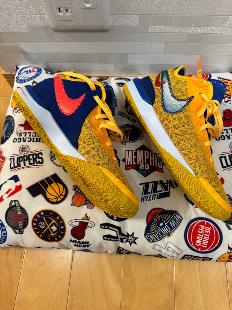 Titan × Nike Zoom LeBron NXXT Gen 28.5cm