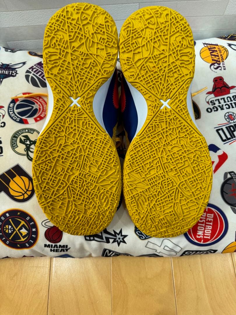 Titan × Nike Zoom LeBron NXXT Gen 28.5cm