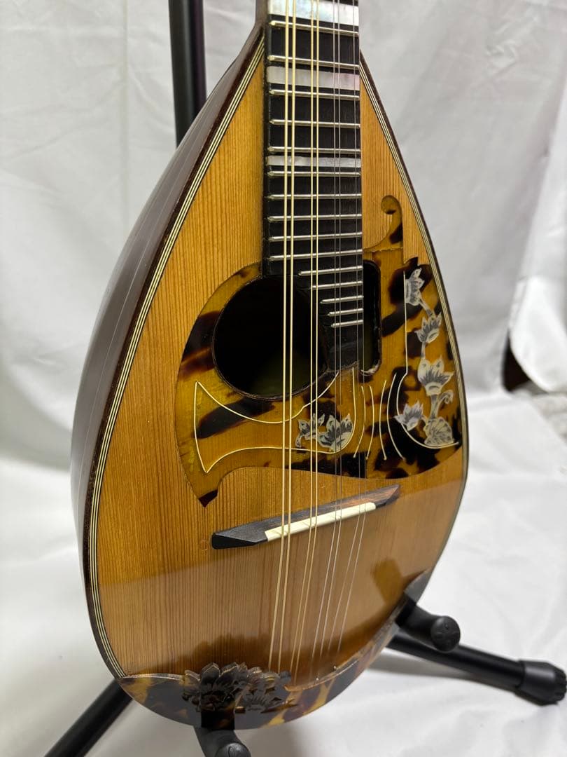 弦楽器 Raffaele Calace Figlio Classico Type 26