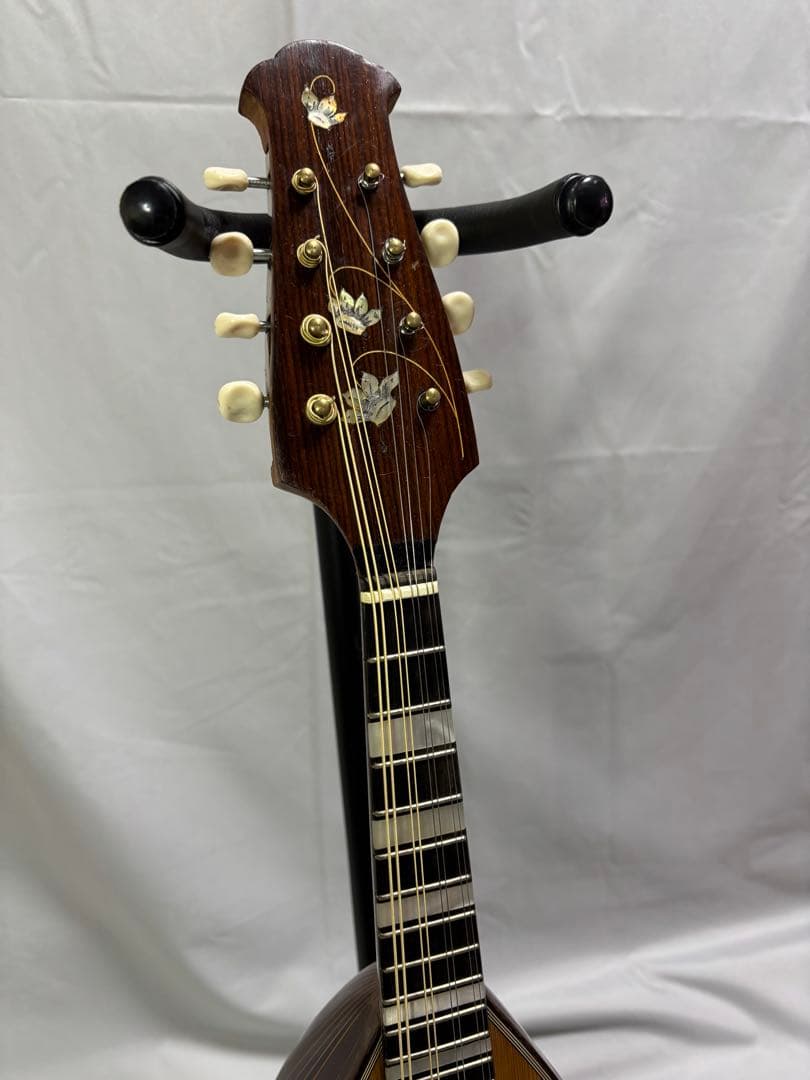 弦楽器 Raffaele Calace Figlio Classico Type 26