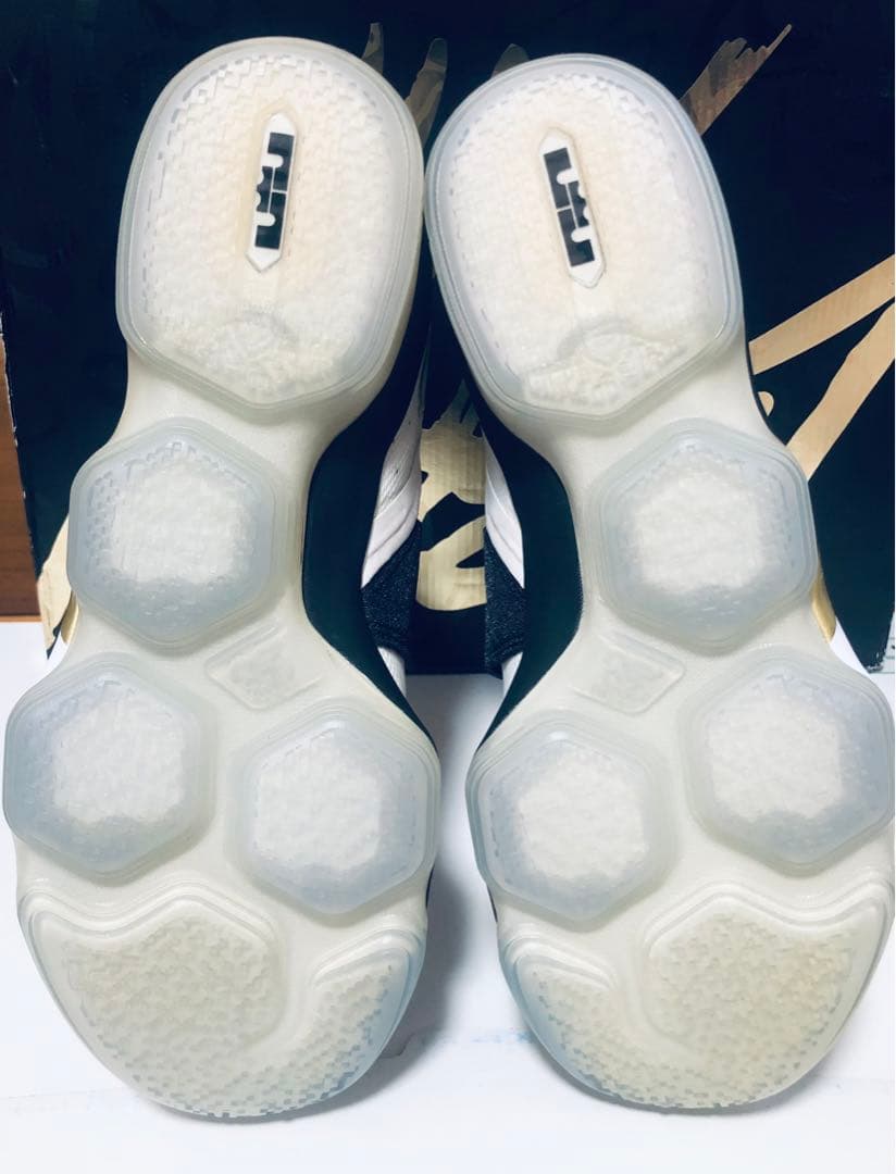 レブロン 14 BHM 27.5cm