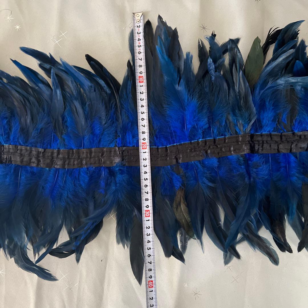 【新品未使用】サンバ　衣装　タンガ　青　ブルー　ブラジル　ショー　浅草
