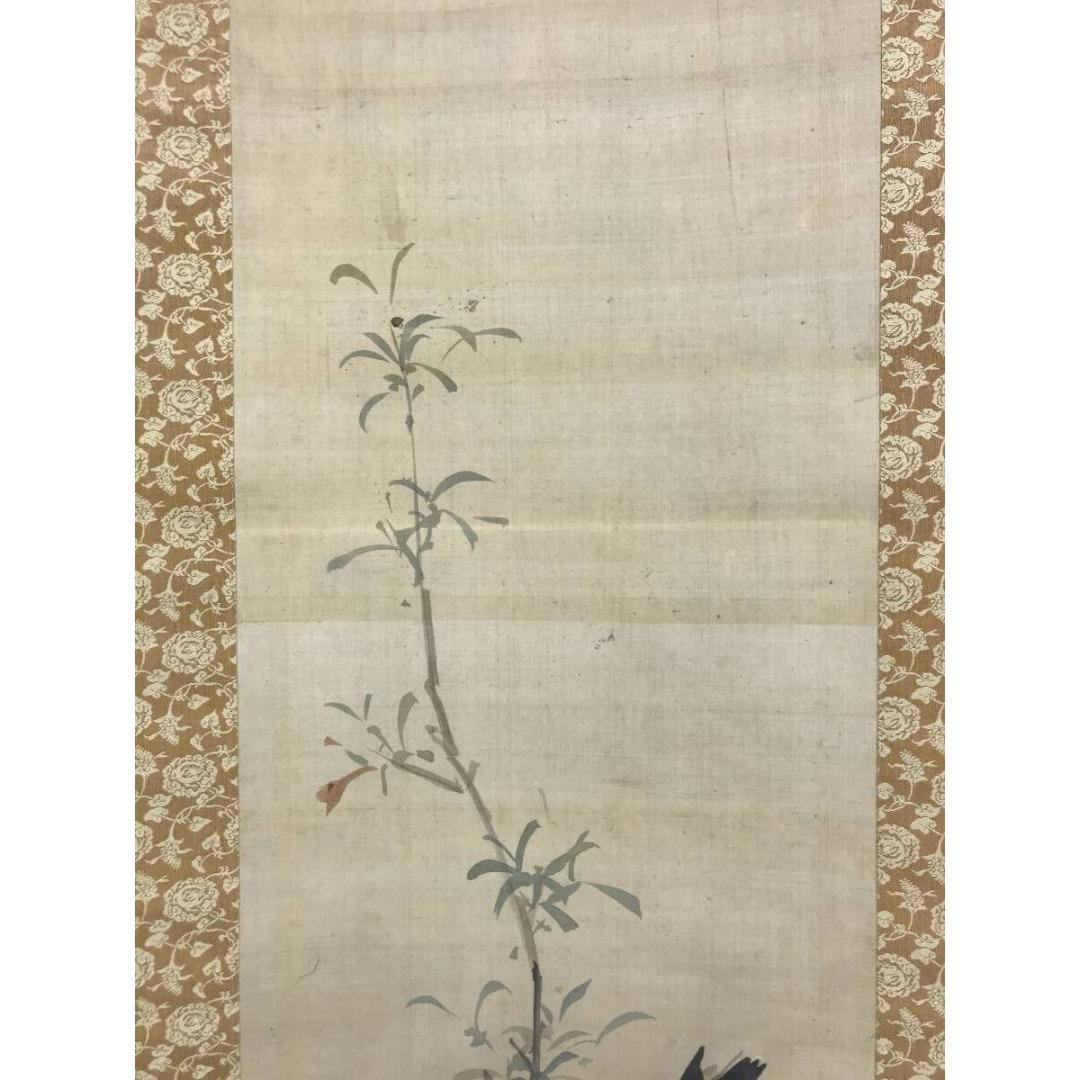 模写/谷文晁/花木叭々鳥図/掛軸/名家伝来/AK-939