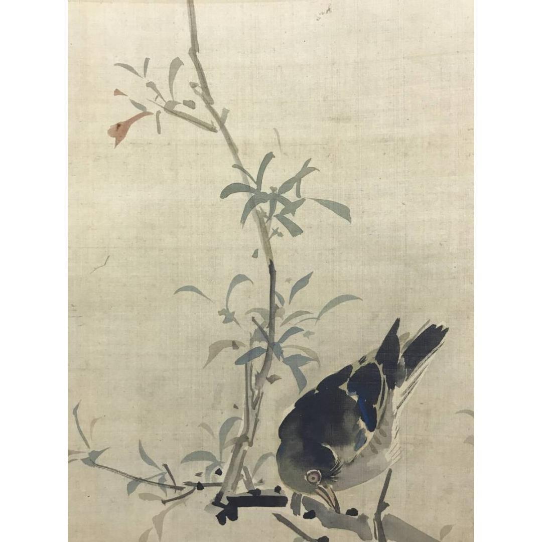 模写/谷文晁/花木叭々鳥図/掛軸/名家伝来/AK-939