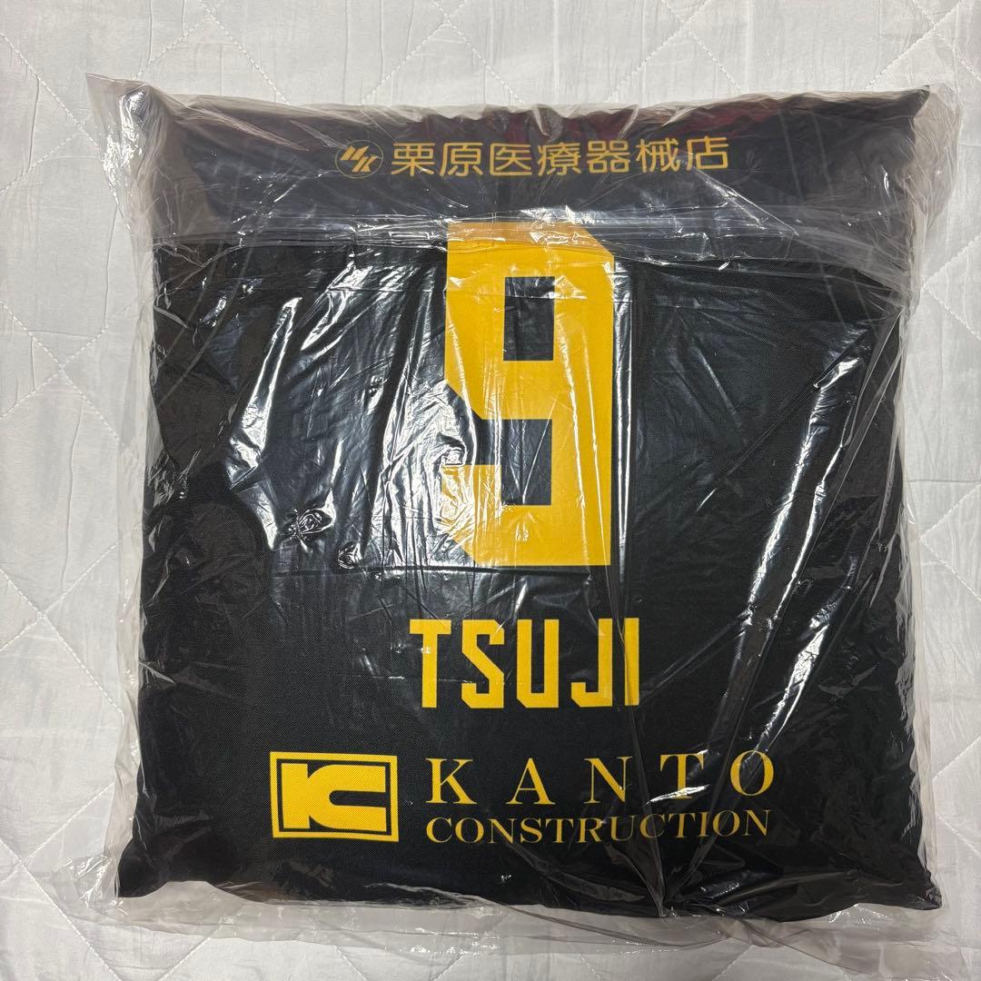 【美品】群馬クレインサンダーズ　クッション ＃9 辻直人選手